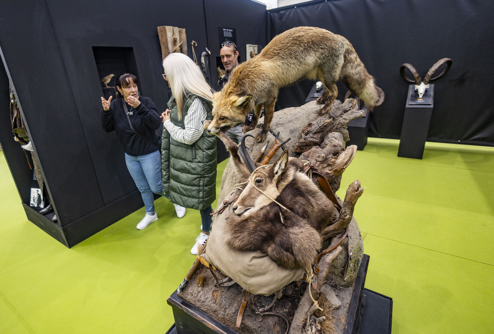 Fercatur Feria De La Caza La Tribuna De Ciudad Real