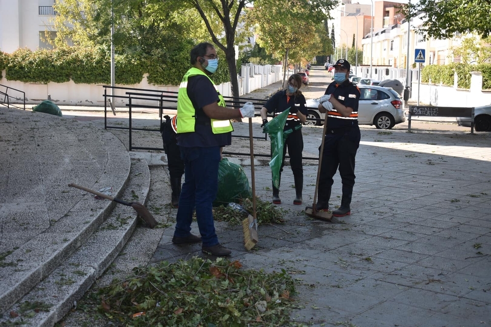 Retiran hasta 300 metros cúbicos de hojas en tan sólo un día