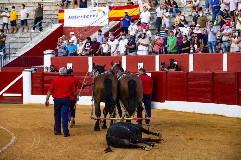 corrida de toros en Alcazar de San juan con los toreros  Antonio Ferreras, Emilio de Justo vestido verde y Roca Rey  / RUEDA VILLAVERDE