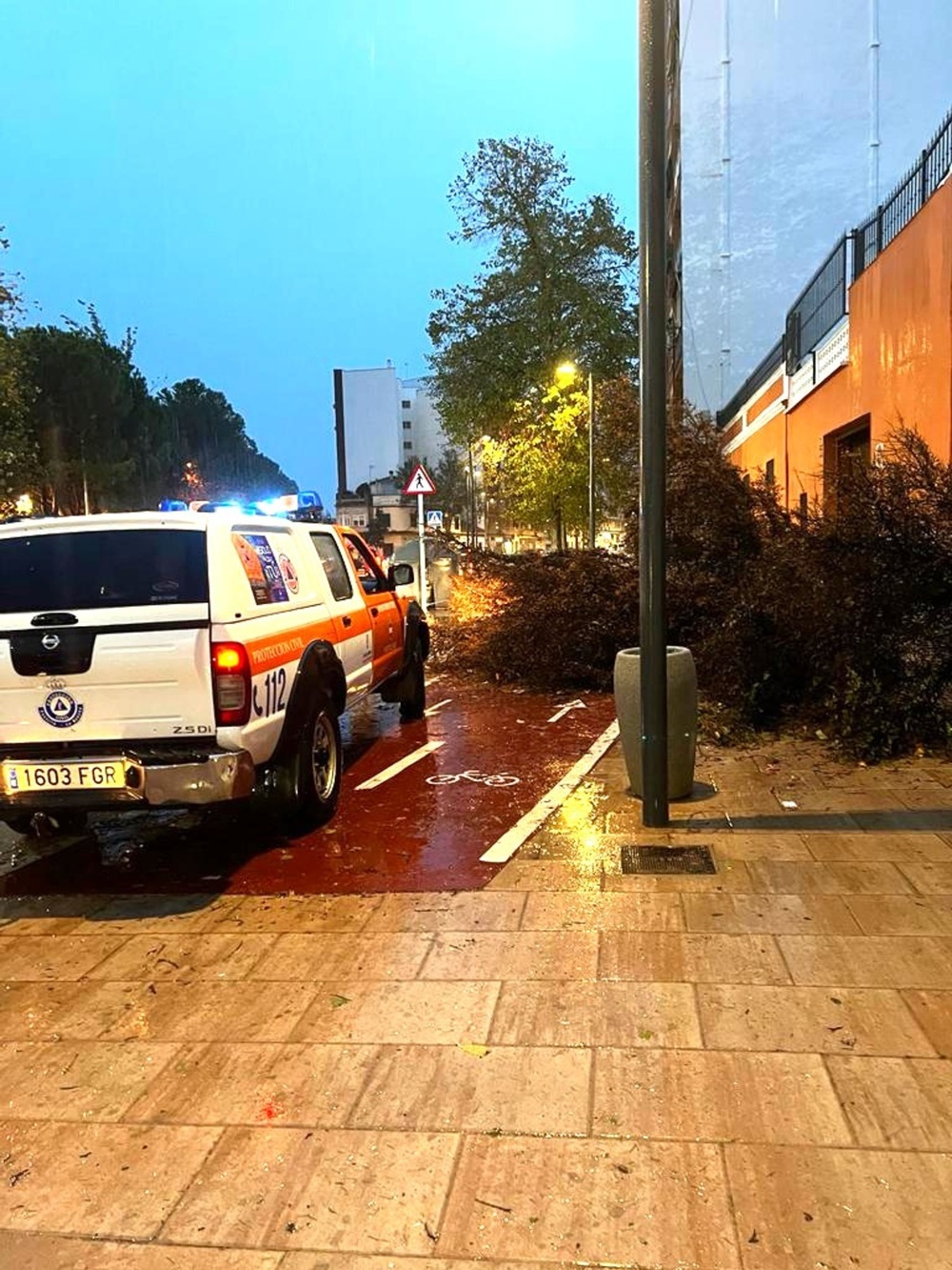 El temporal dejó ramas e inundaciones en Puertollano