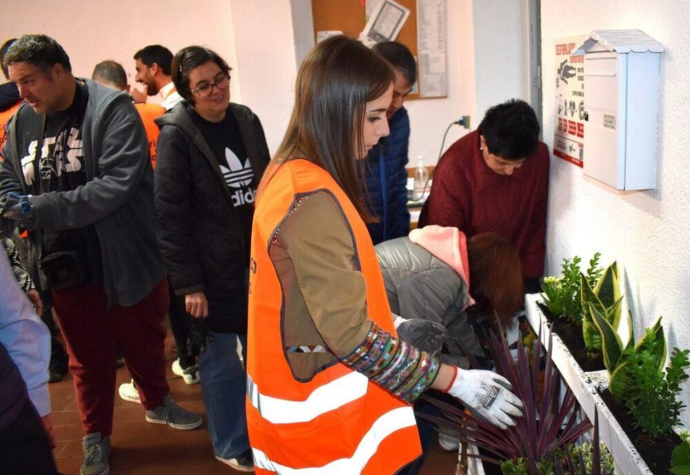 Colegios, edificios y centros sanitarios 'más verdes'