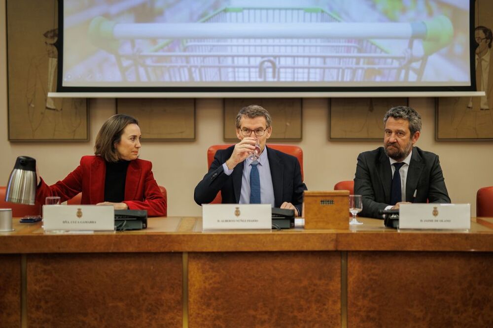 La portavoz del PP en el Congreso, Cuca Gamarra; el presidente del Partido Popular, Alberto Núñez Feijóo y el diputado del PP Jaime de Olano, este viernes en el Congreso.  / ALEJANDRO MARTÍNEZ VÉLEZ   EUR