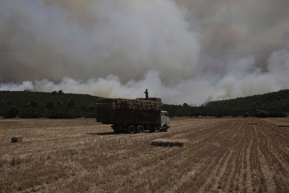 Wildfires lead to evacuations in Greece  / KOSTAS TSIRONIS