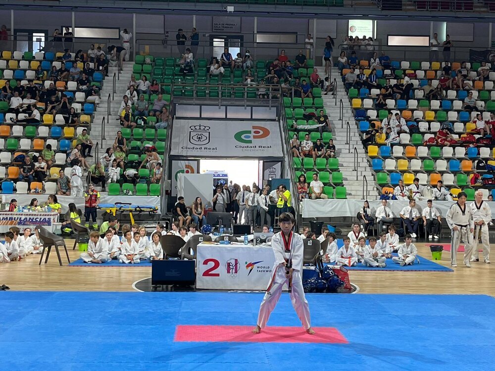 Ciudad Real disfruta con el mejor taekwondo