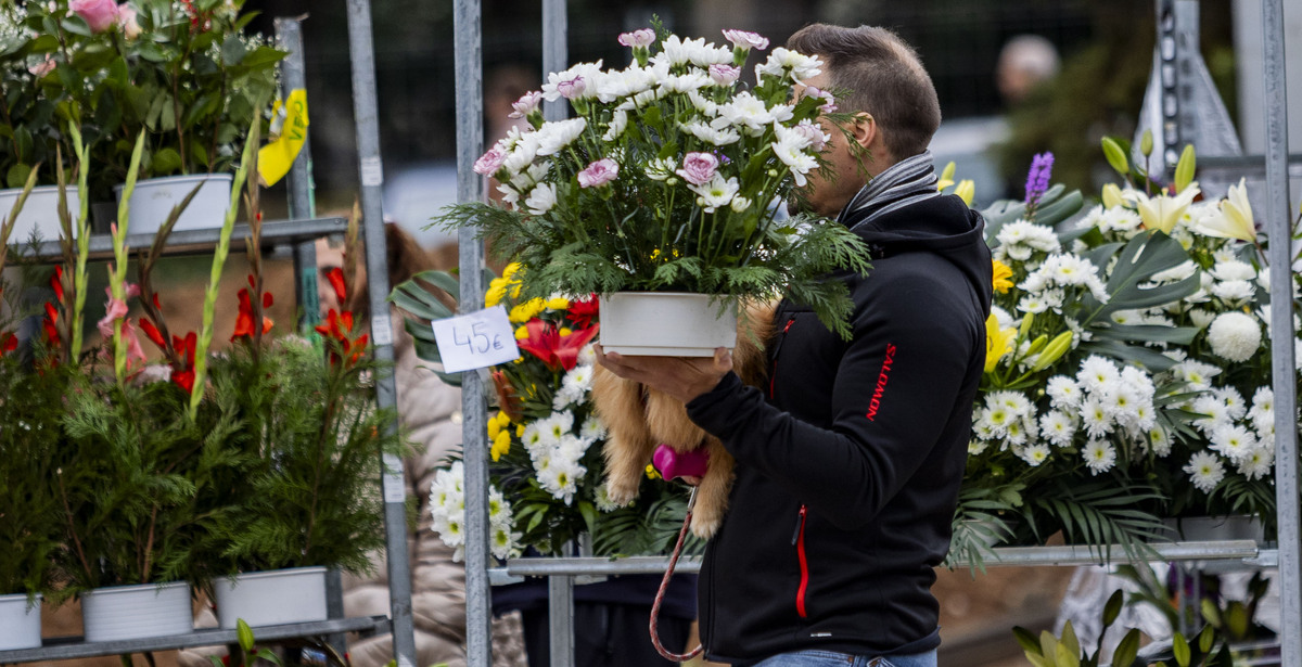 Día de los Santos, gente llevando flores al cementerio, cementerio, flores en el cementerio, Día de todos los SNTO, GENTE COMPRANDO FLORES Y LLEVÁNDOLAS AL CEMENTERIO,  / RUEDA VILLAVERDE