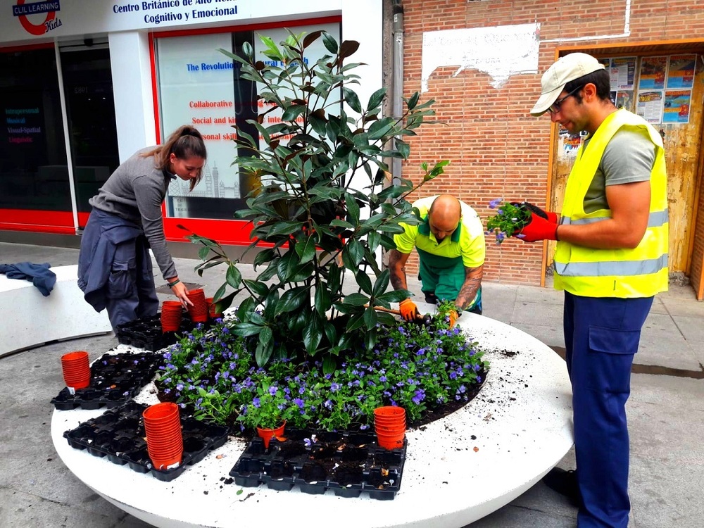 12.000 plantas colorean el paseo y el centro de Puertollano