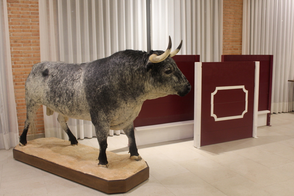 El torero Curro Díaz recibe en Alcázar el Quijote de Oro