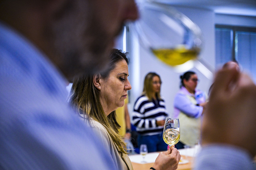 Cata de los primeros vinos de la bodega de Enología de la UCLM