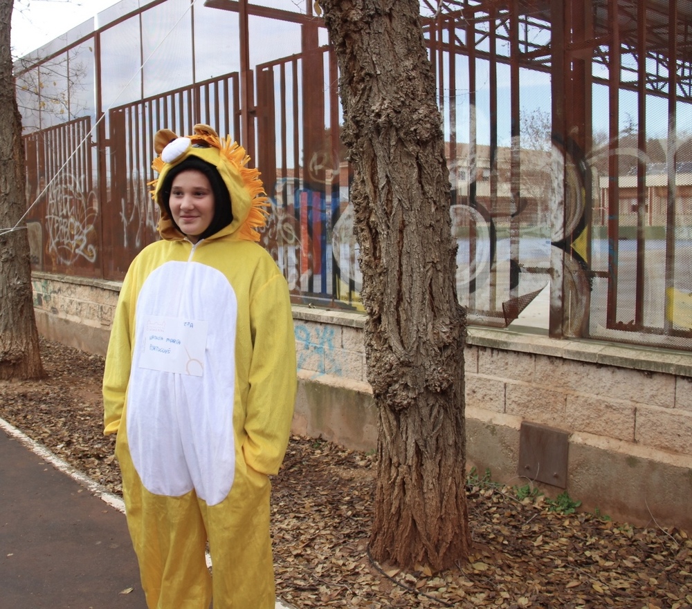 El IES María Zambrano viste de Navidad el parque Alces