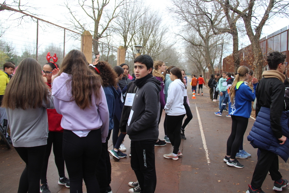 El IES María Zambrano viste de Navidad el parque Alces