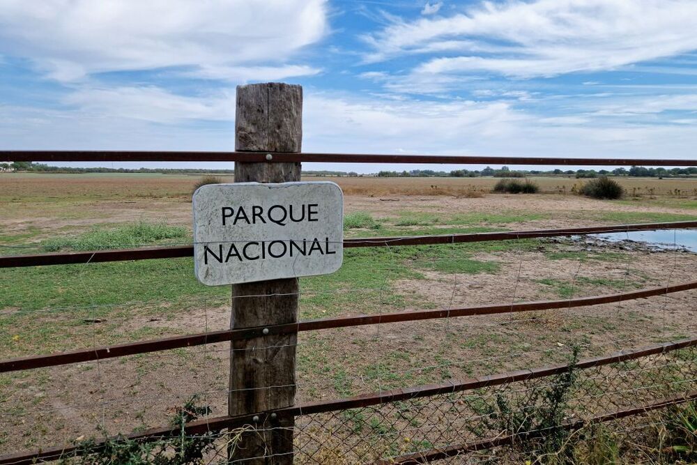 La Junta comprará 7.500 hectáreas para proteger Doñana 