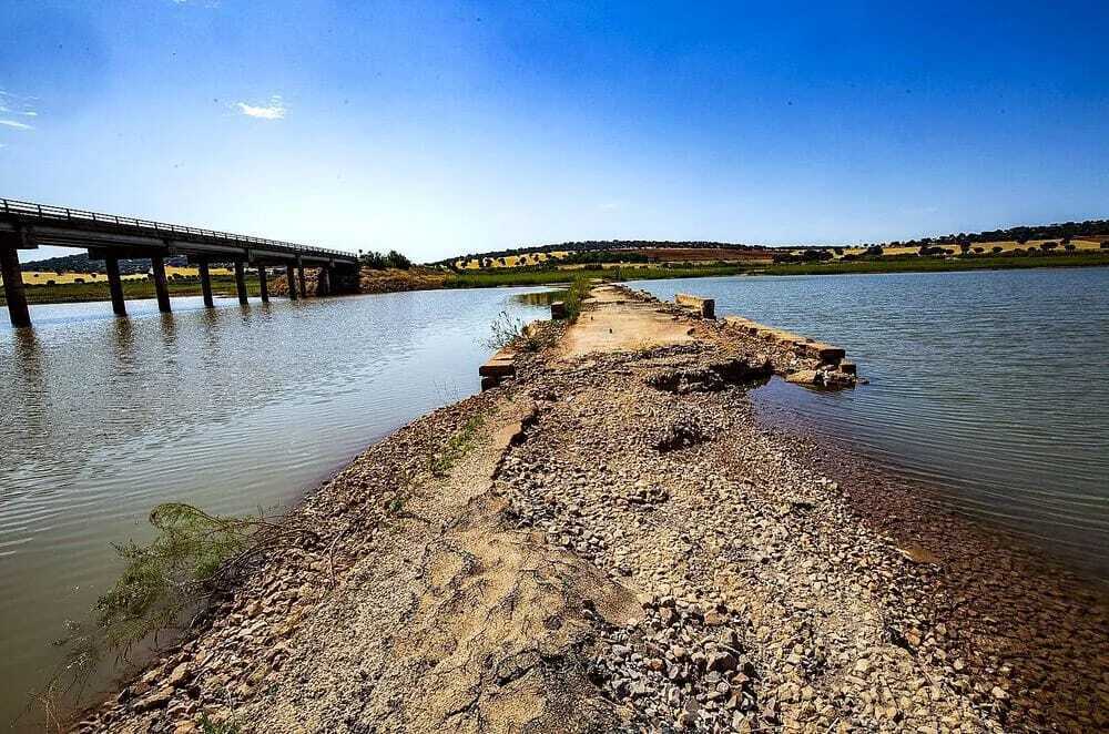 La CHG retira los peces muertos aparecidos en La Cabezuela