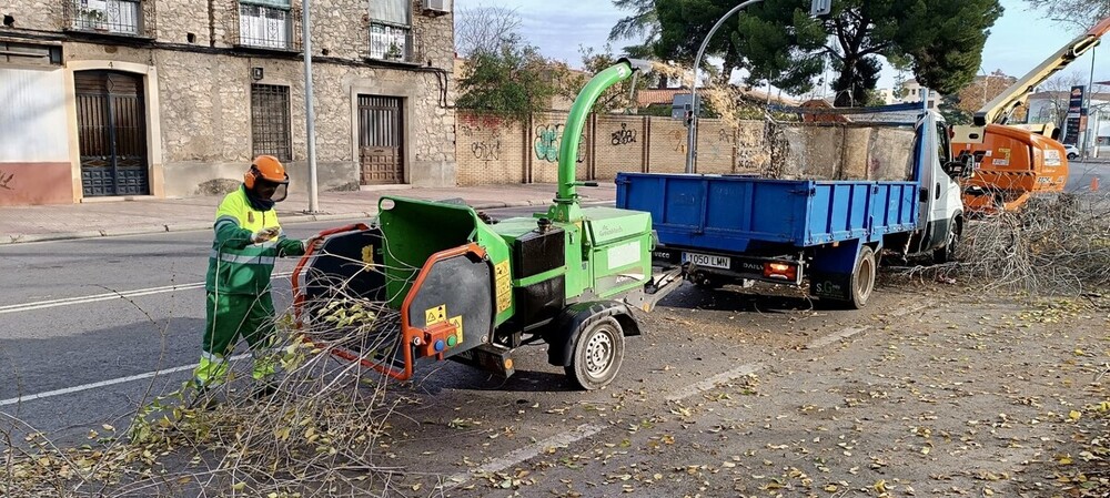 950 horas extras para la recogida de hojas en Ciudad Real