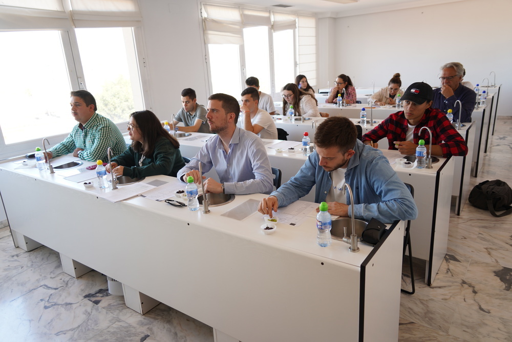 Los vinos DO La Mancha aprueban con nota en el curso de verano