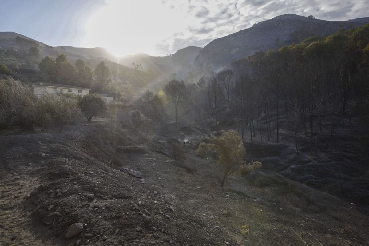 Incendio Montixelvo