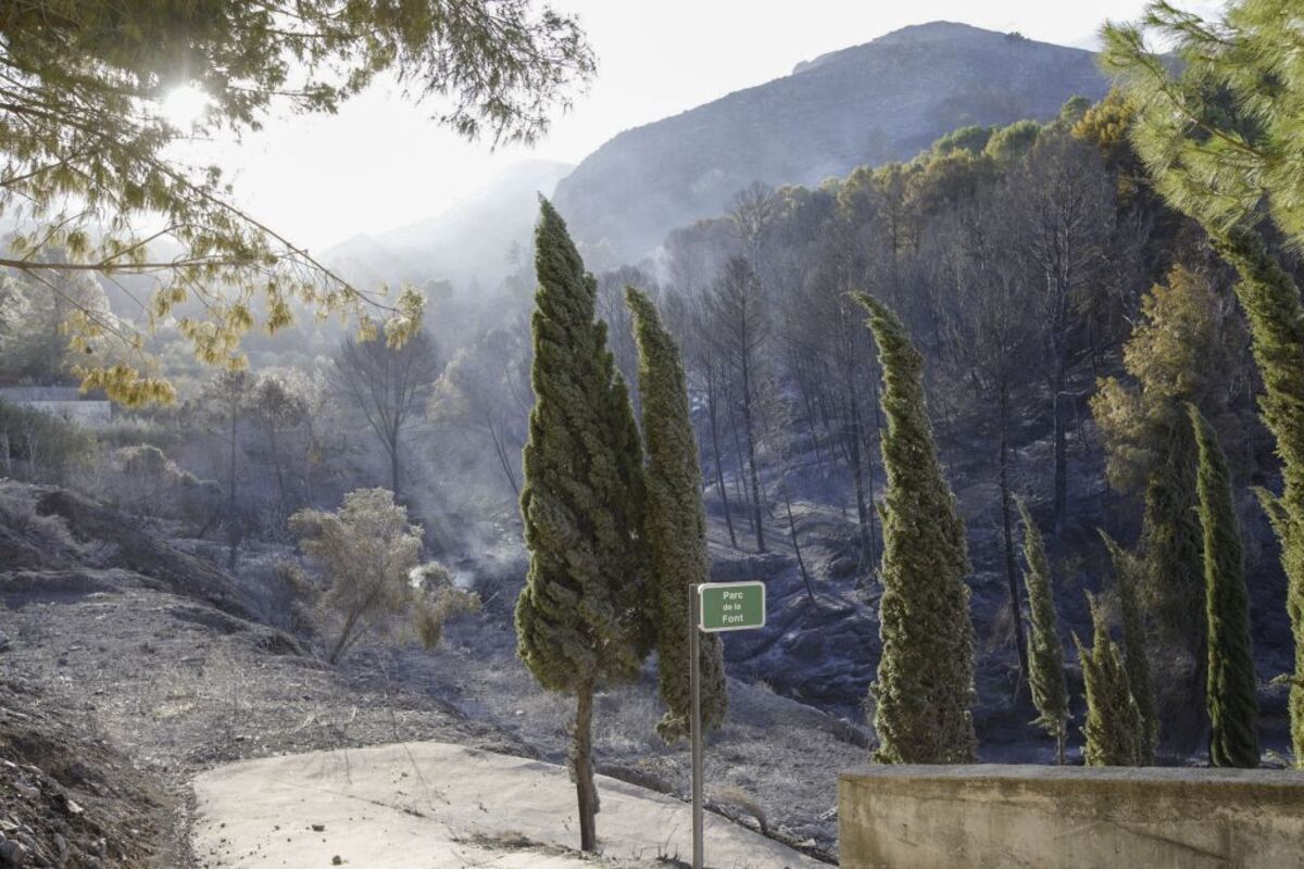 Incendio Montixelvo  / NATXO FRANCÉS