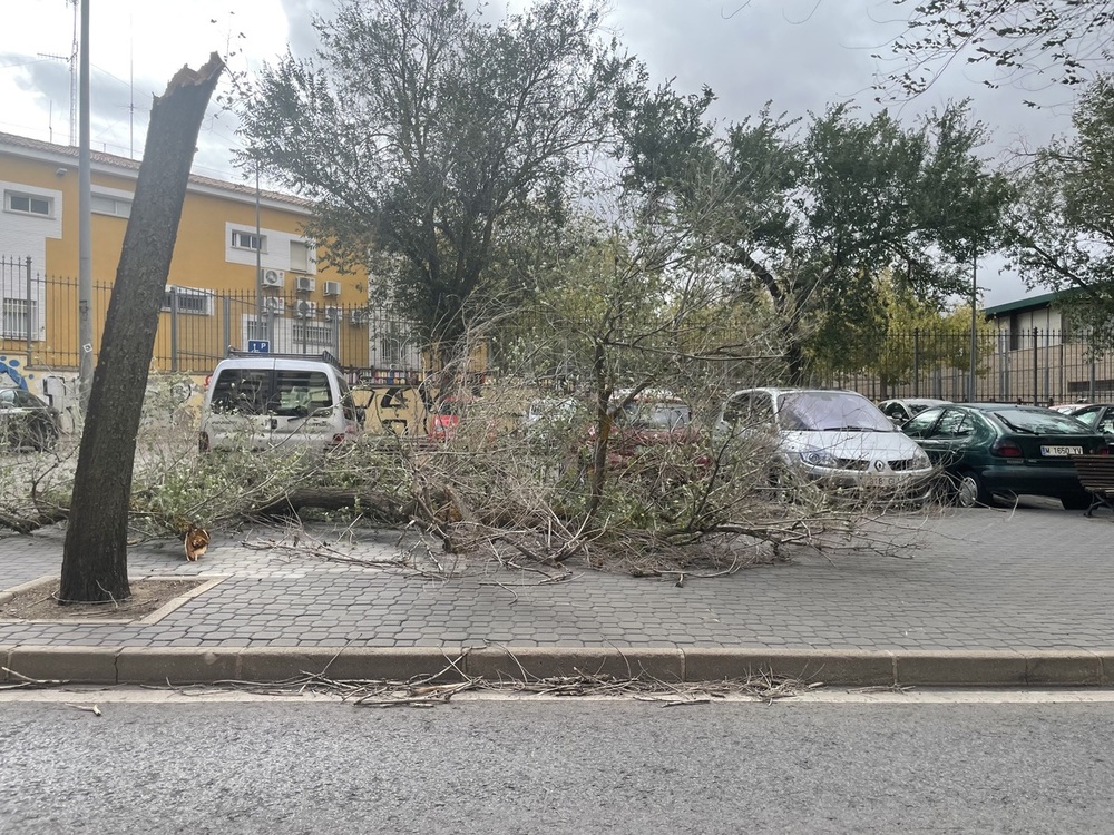 El viento y la lluvia deja ya 13 incidencias en la provincia