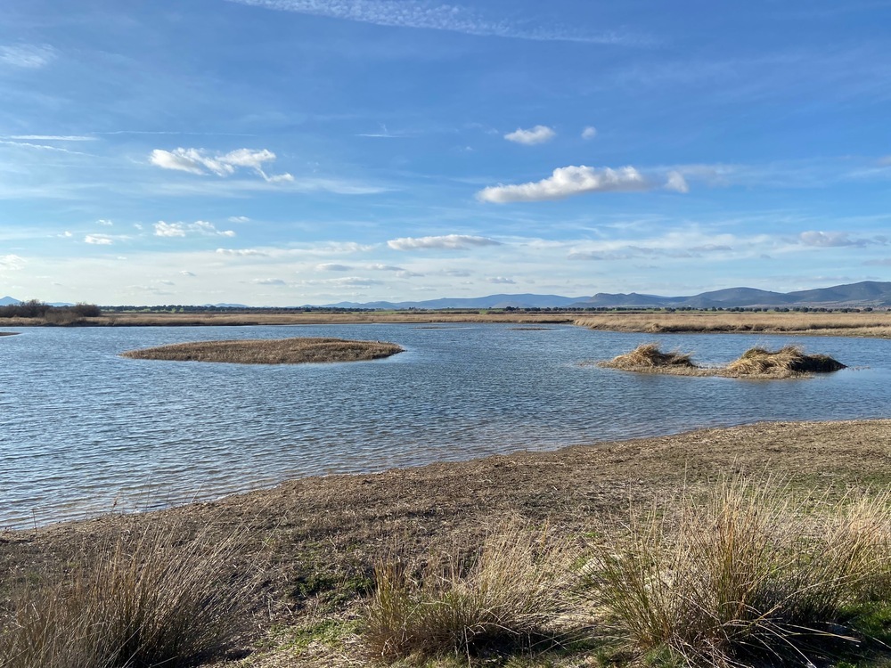 Imagen del parque nacional de Las Tablas de Daimiel.