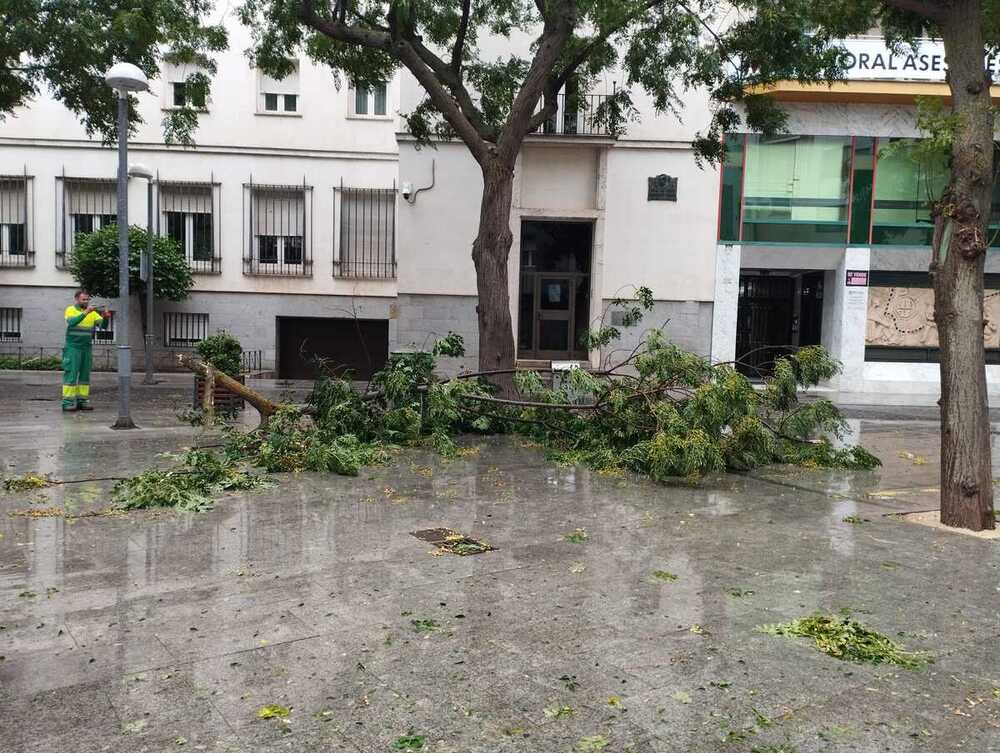 El viento y la lluvia deja ya 13 incidencias en la provincia