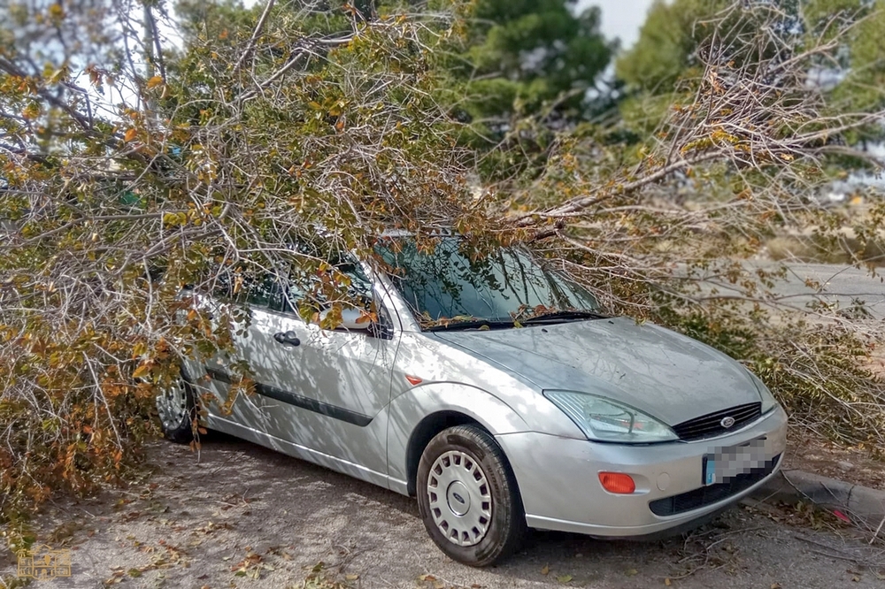 Más de 50 intervenciones como consecuencia del fuerte viento