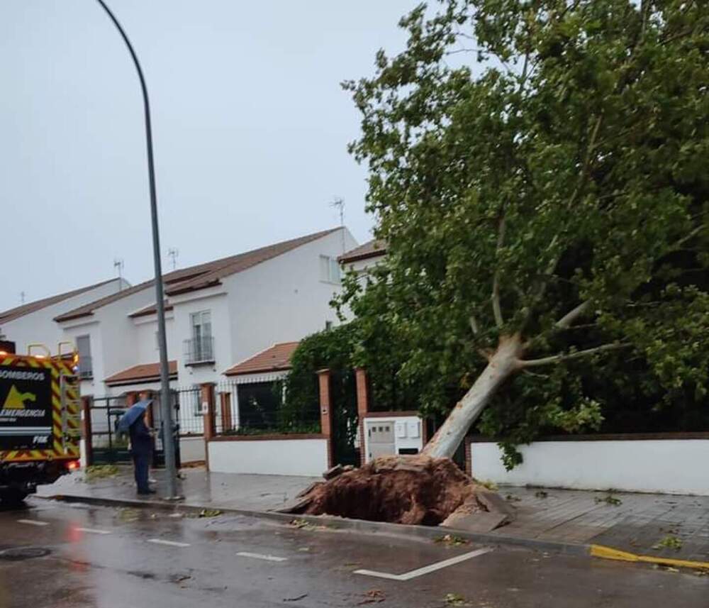 Calle Sierra Madrona de Ciudad Real.