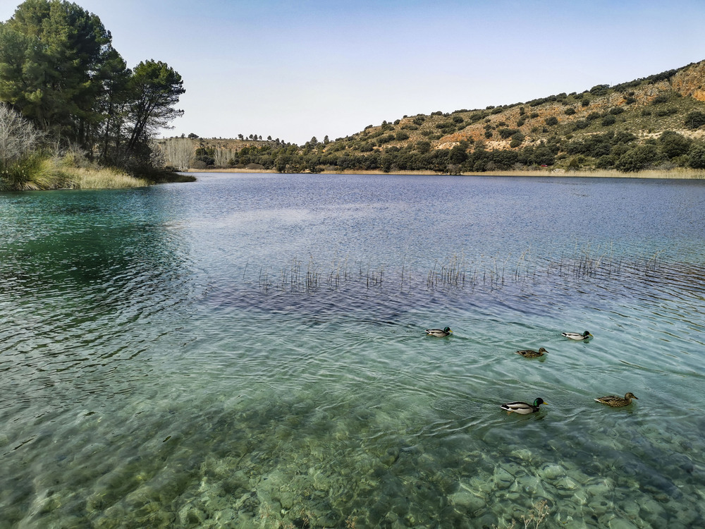 50 actividades para disfrutar de otoño en la región