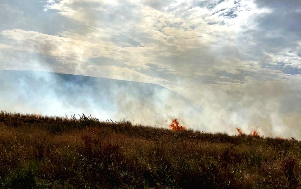 Bomberos intervienen en un incendio junto al Terry