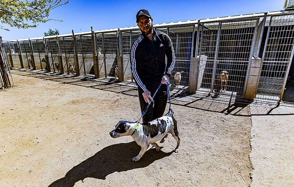 La menor adopción extranjera colapsa La  Bienvenida