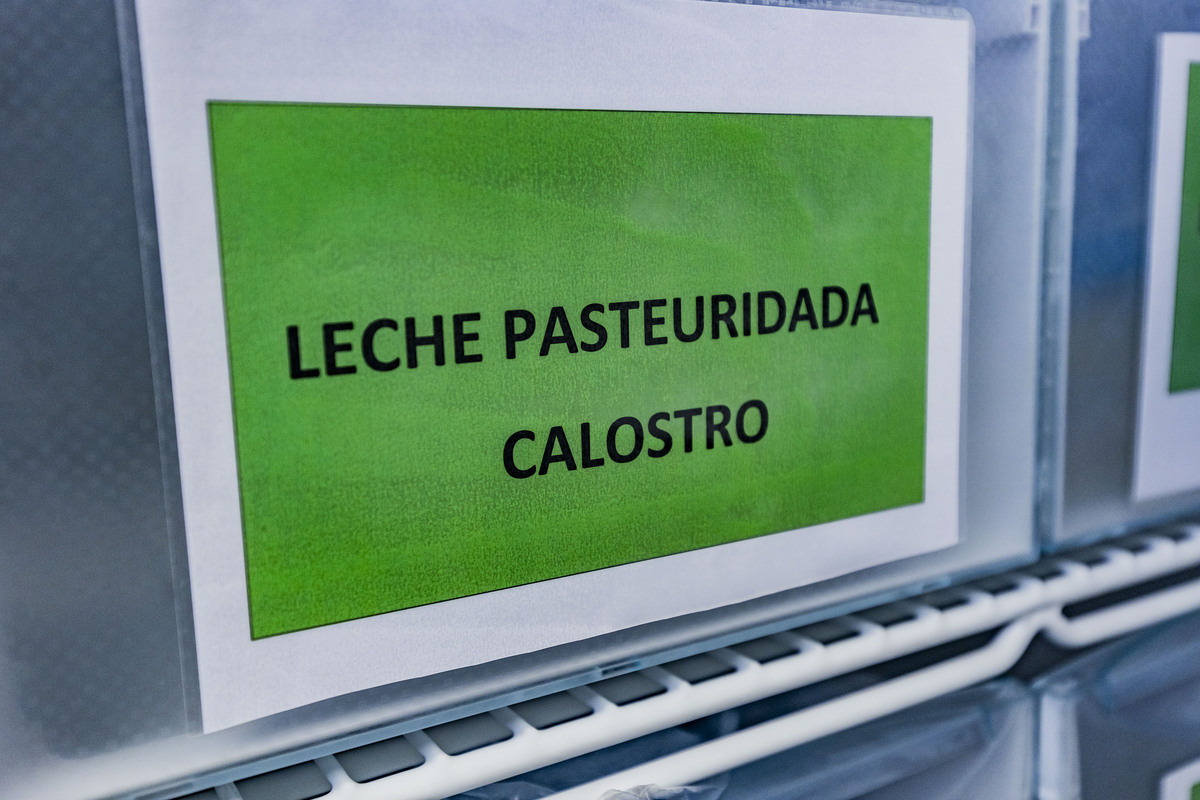 Banco de Leche del hospital General de Ciudad Real, zona de niños prematuros del hospital de ciudad real,  Cristina Sánchez enfermera del banco de leche y Jose Miguel Pacheco director del banco de leche  / RUEDA VILLAVERDE