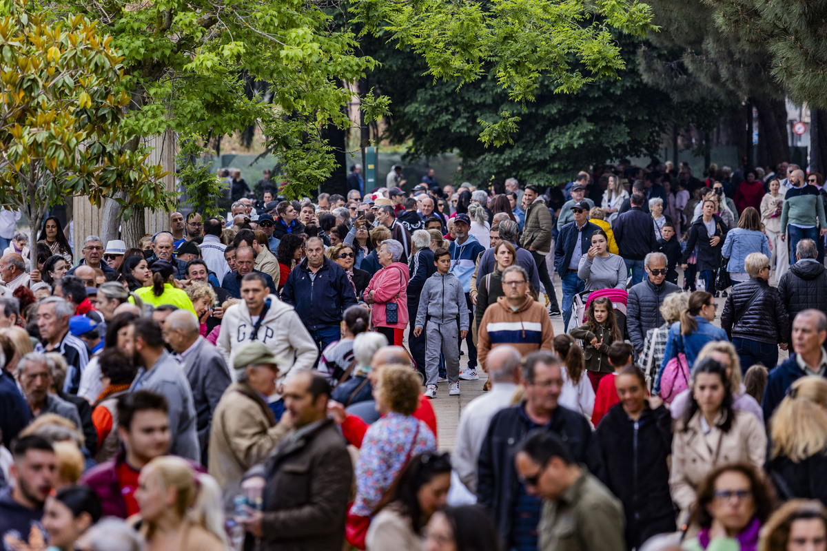 REPARTO DE LA COMIDA DEL SANTO VOTO DE PUERTOLLANO, SANTO VOTO, REPARTO DE LA COMIDA  / RUEDA VILLAVERDE