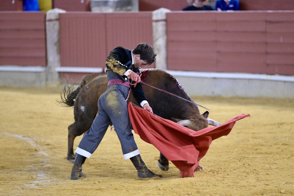 Festival taurino en Ciudad Real.