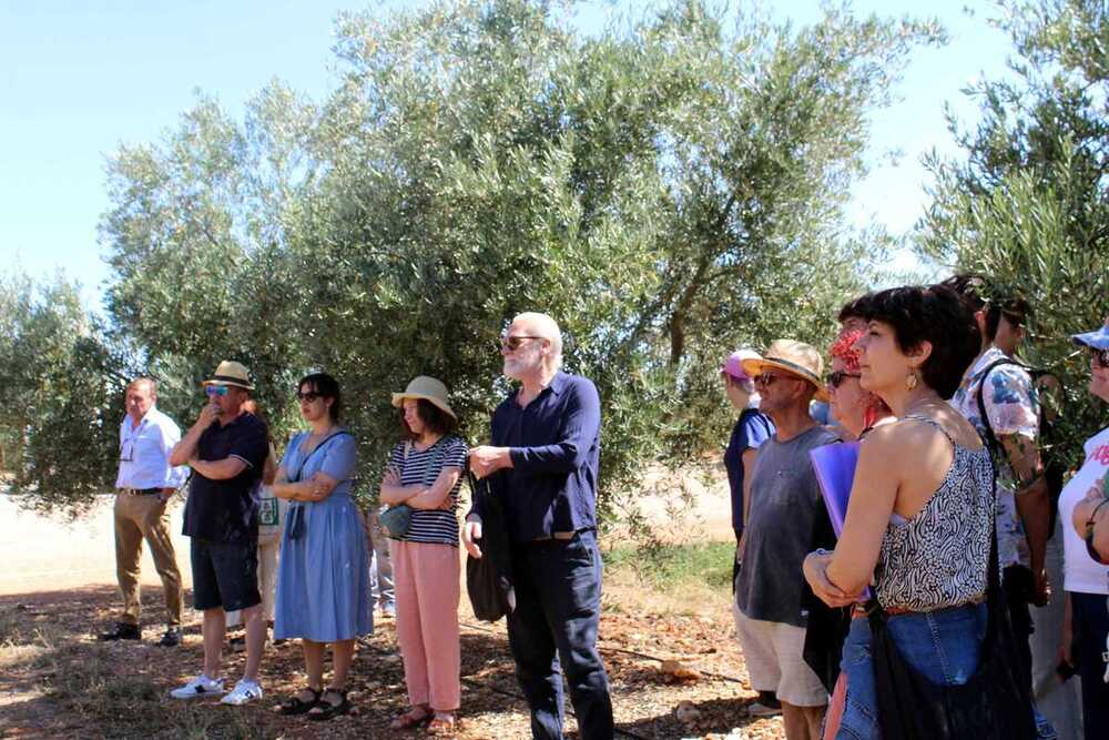 El Campo de Calatrava da sabor al Festival de Almagro