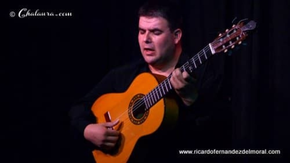 El cantaor y guitarrista Ricardo Fernández del Moral