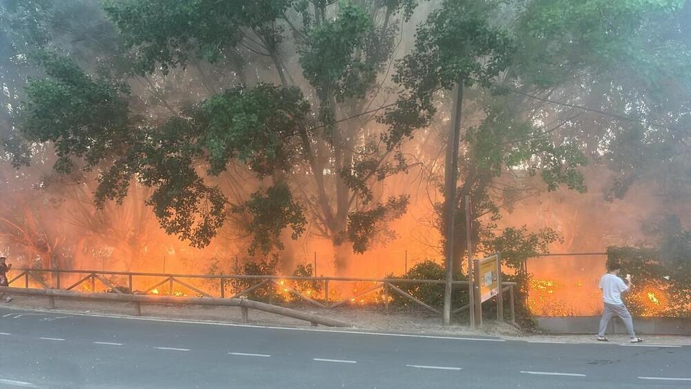 Arde el Parque Natural de Las Lagunas de Ruidera