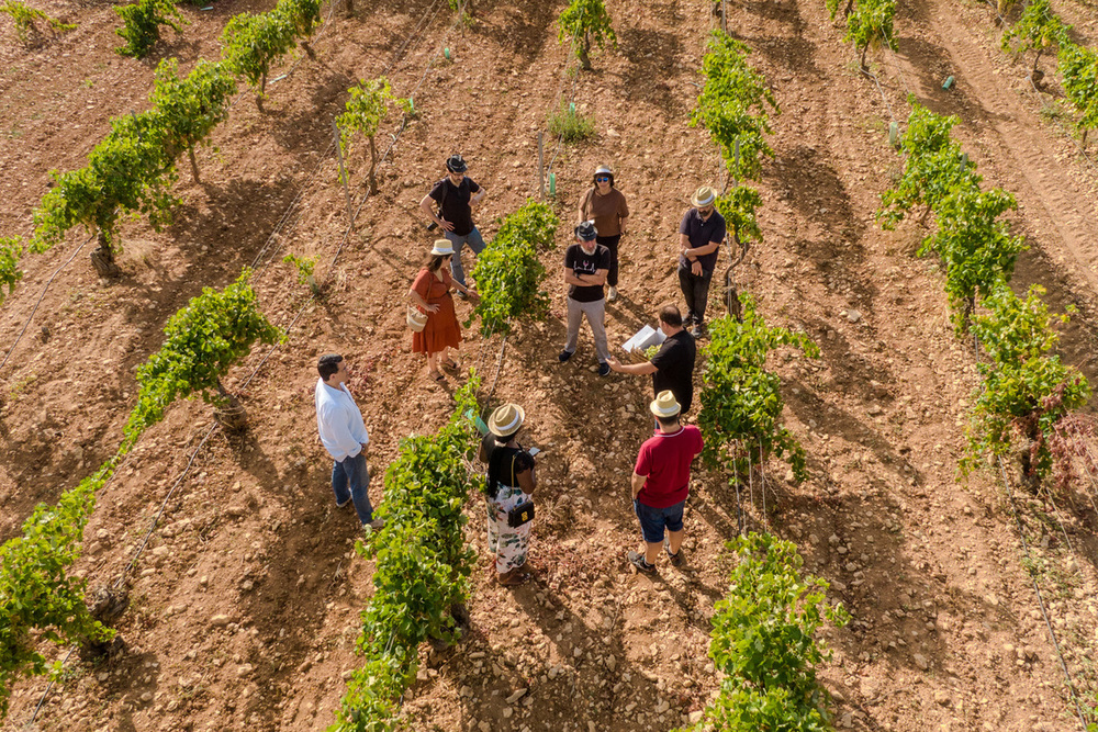 Socuéllamos abre su patrimonio vinícola a influencers 