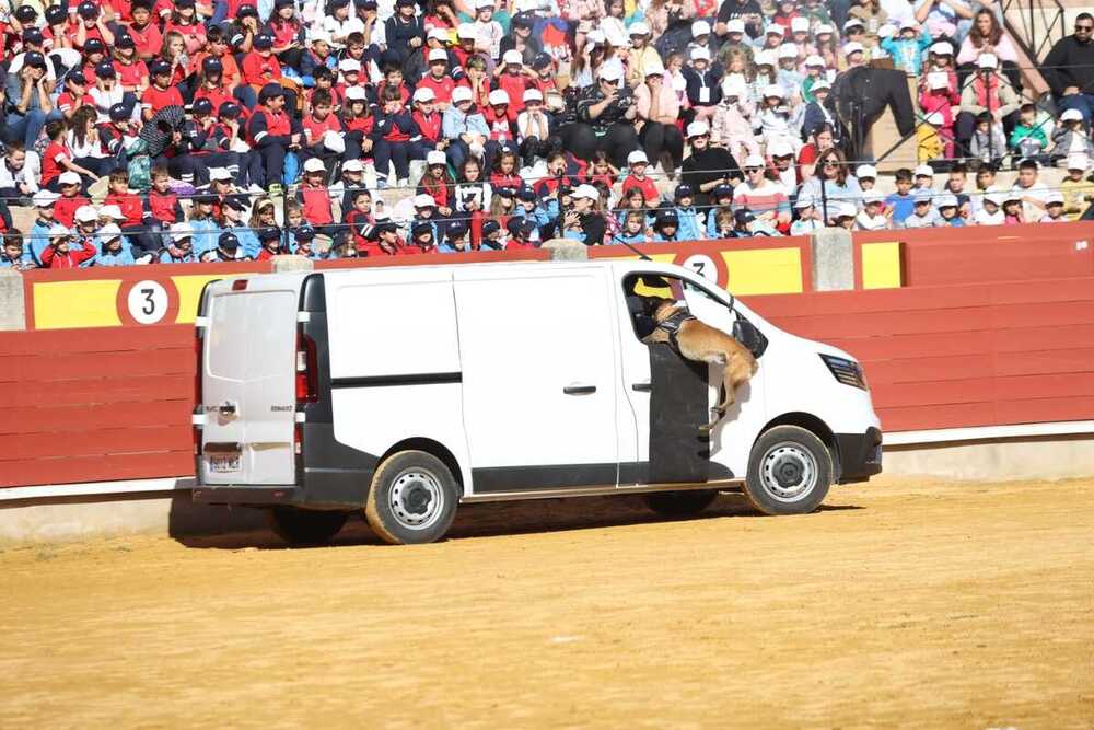 Lleno para la exhibición de la Policía Nacional en Ciudad Real