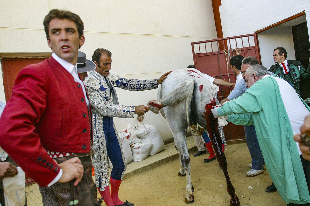 Los sanadores de caballos