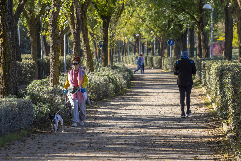 La vía verde albergará un parque de gimnasia al aire libre