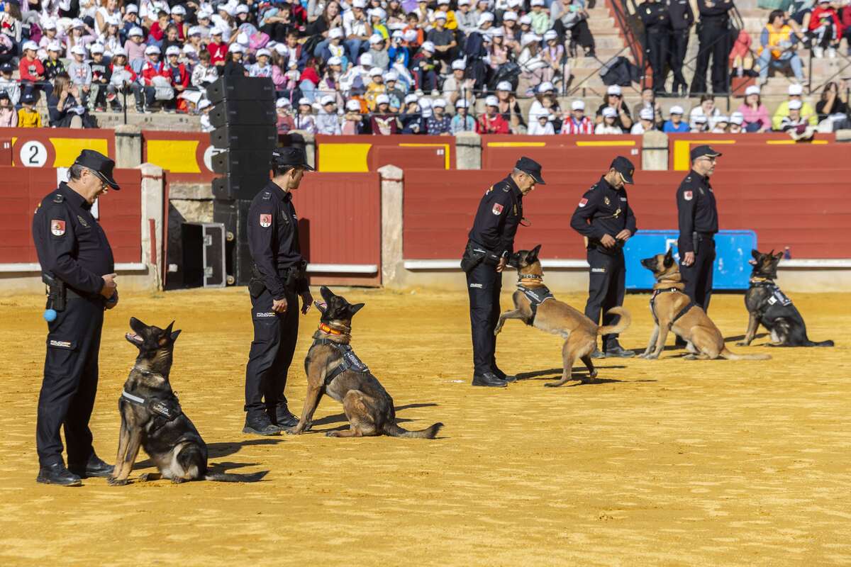 Exhibición de la Policía Nacional  / TOMÁS FDEZ. DE MOYA