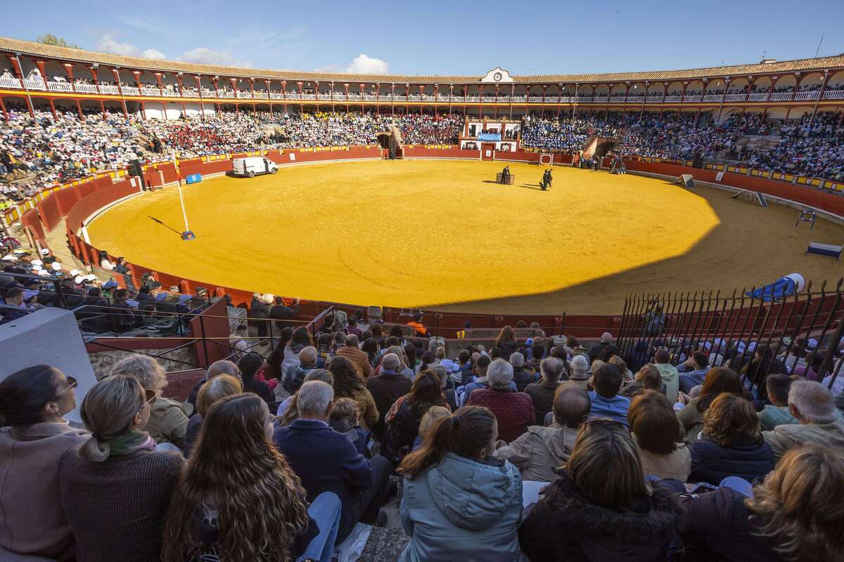 Exhibición de la Policía Nacional  / TOMÁS FDEZ. DE MOYA