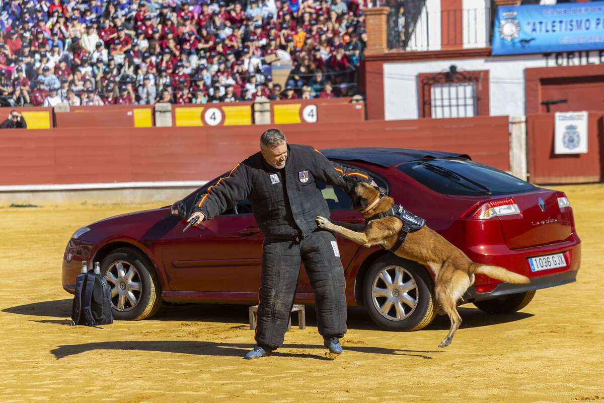 Exhibición de la Policía Nacional  / TOMÁS FDEZ. DE MOYA