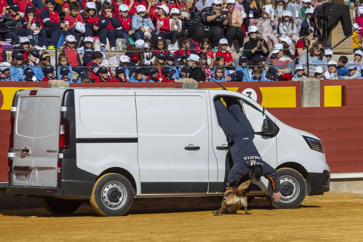 Exhibición de la Policía Nacional  / TOMÁS FDEZ. DE MOYA