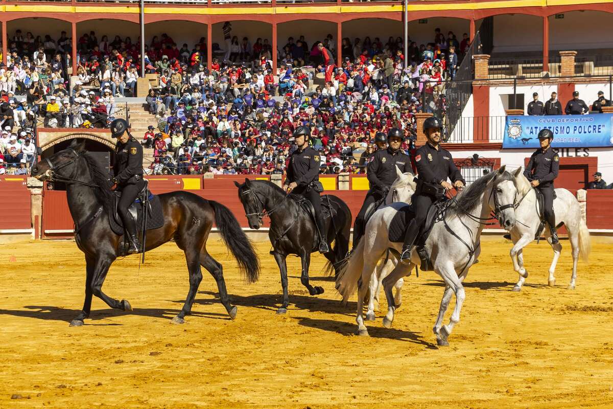 Exhibición de la Policía Nacional  / TOMÁS FDEZ. DE MOYA