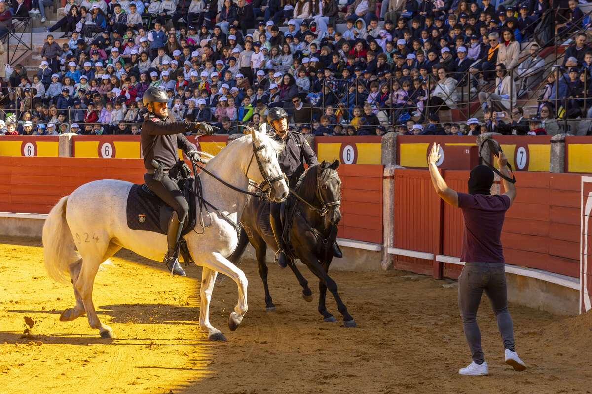 Exhibición de la Policía Nacional  / TOMÁS FDEZ. DE MOYA