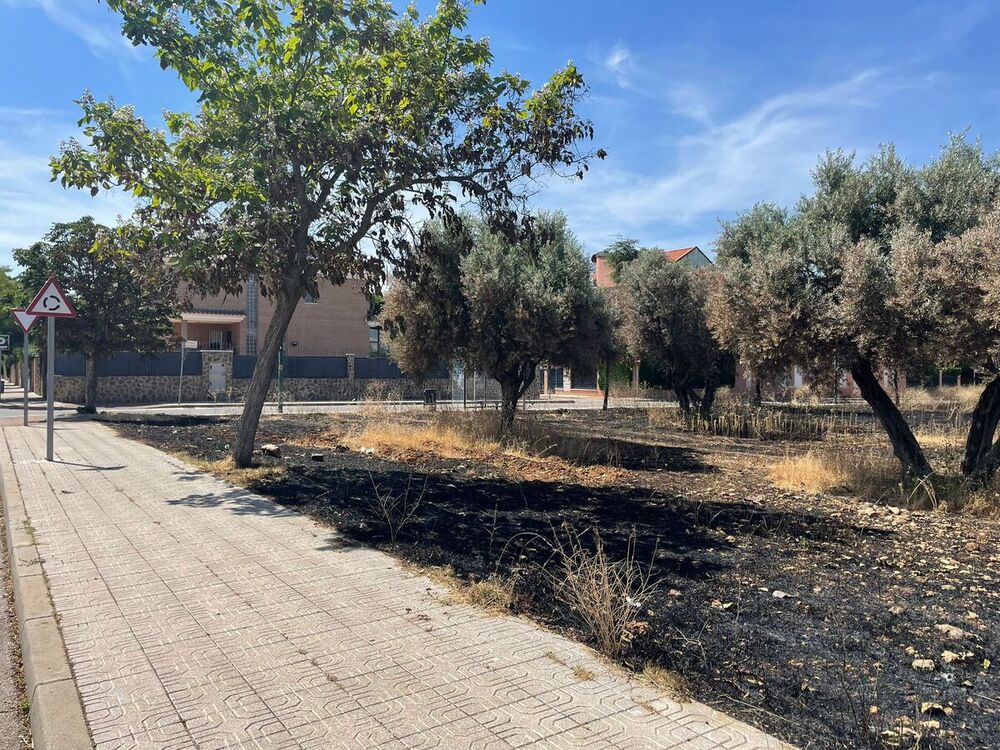 IU: Hay que limpiar las barriadas para evitar incendios 