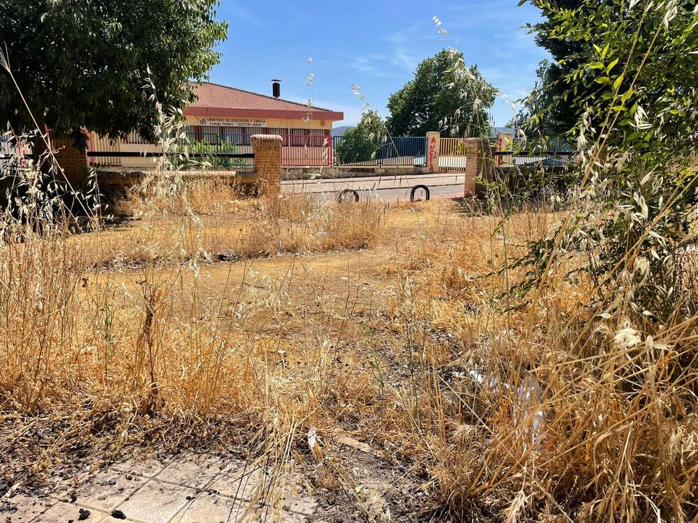 IU: Hay que limpiar las barriadas para evitar incendios 