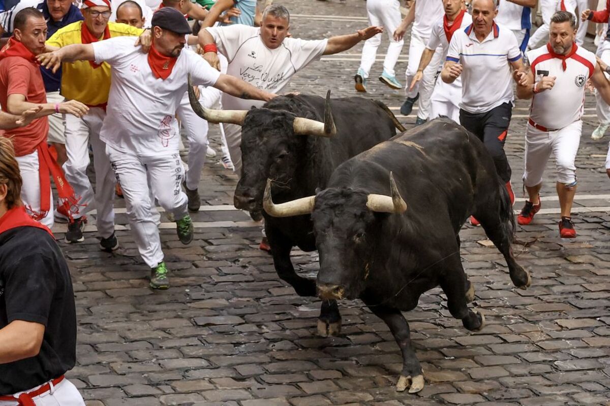 Los toros de Domingo Hernández en el quinto encierro de los Sanfermines  / J.P. URDIROZ