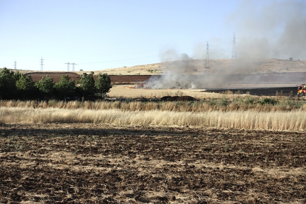 Extinguido el incendio forestal de Alhambra