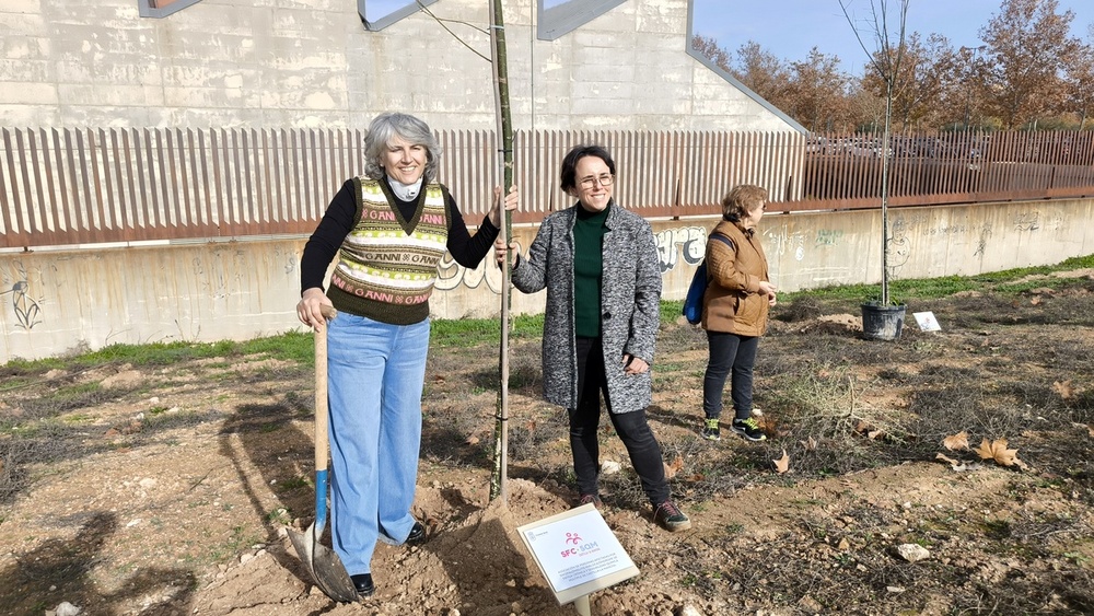 Un árbol por cada entidad en el Día Mundial de la Discapacidad