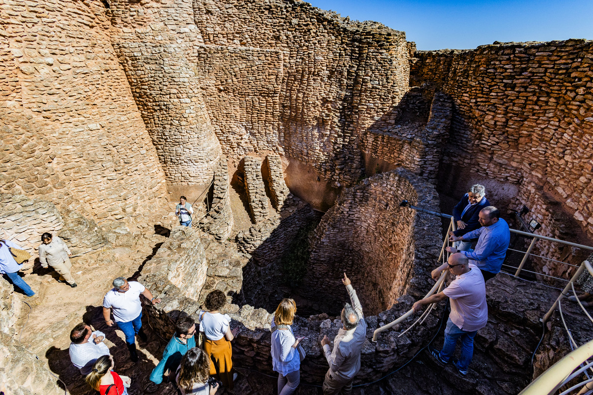 Motilla del Azuer en Daimiel, yacimiento de La Motilla del Azuer en Daimiel con la visita del alcalde de Daimiel Leopoldo Sierra  / RUEDA VILLAVERDE